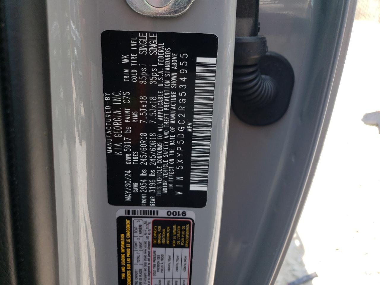 2024 Kia Telluride Sx VIN: 5XYP5DGC2RG534955 Lot: 59326615