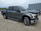 West Palm Beach, FL에서 판매 중인 2017 Ford F150 Supercrew - Front End