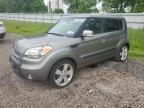 2010 Kia Soul + en Venta en Central Square, NY - Minor Dent/Scratches