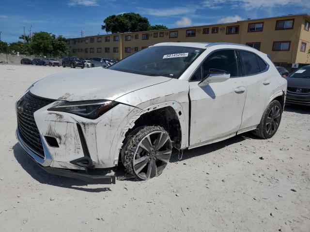 LEXUS UX 200 BAS 2022