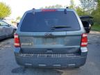 2010 Ford Escape Xlt for Sale in Arlington, WA - Front End