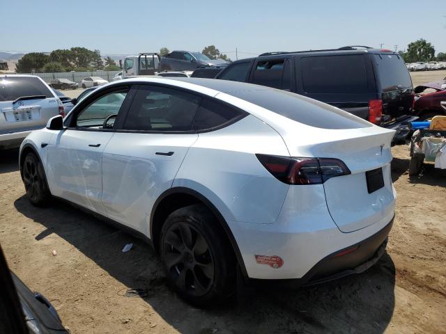  TESLA MODEL Y 2023 Biały