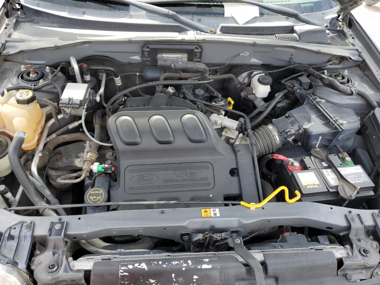 2003 Ford Escape Xlt VIN: 1FMYU03103KB11762 Lot: 62250035