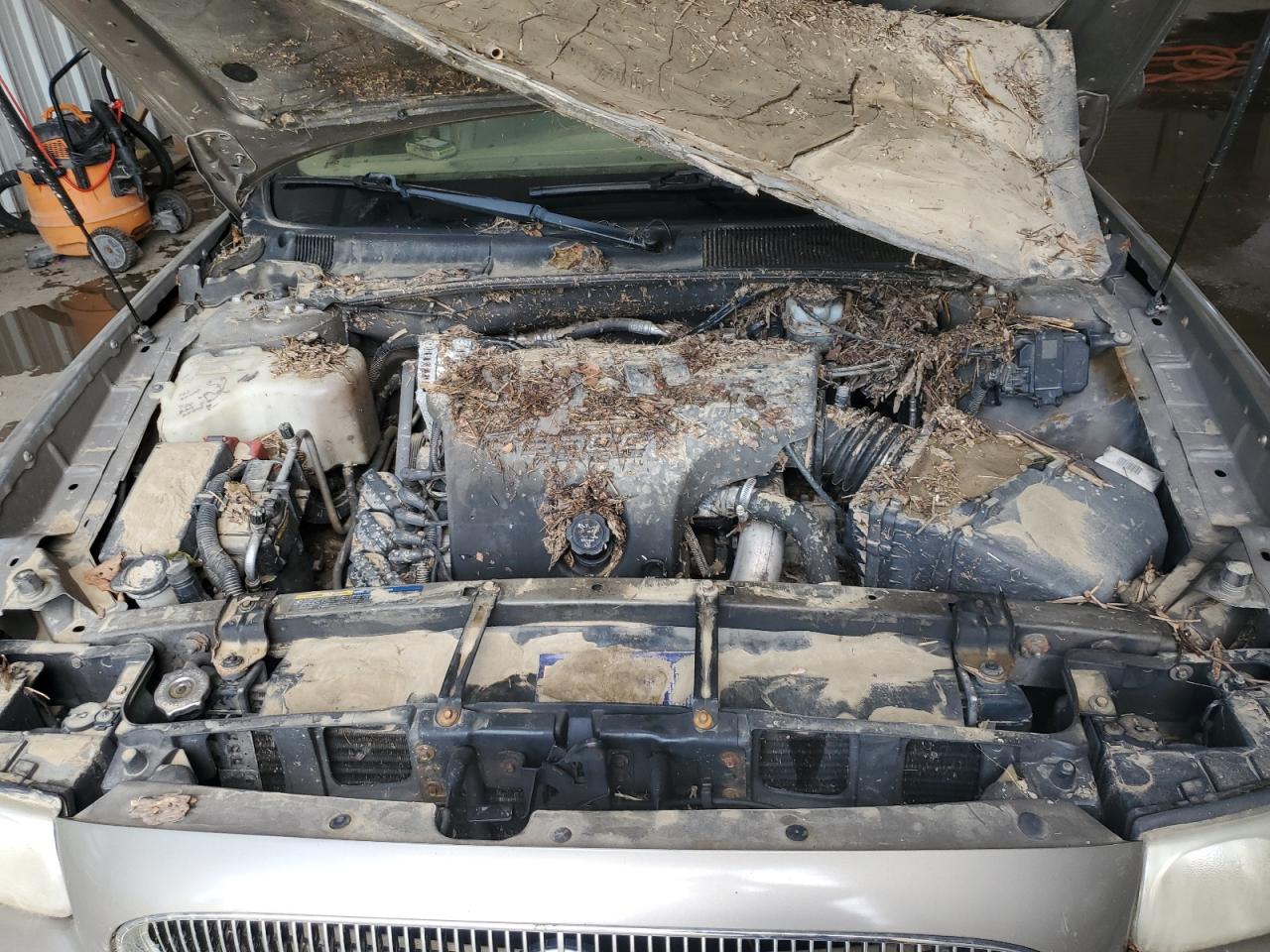 2004 Buick Lesabre Custom VIN: 1G4HP52K244159932 Lot: 61848765