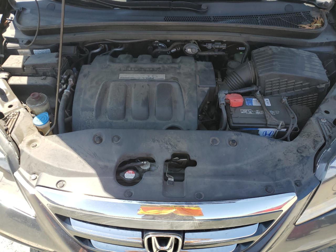 2006 Honda Odyssey Exl VIN: 5FNRL38796B447731 Lot: 62150145