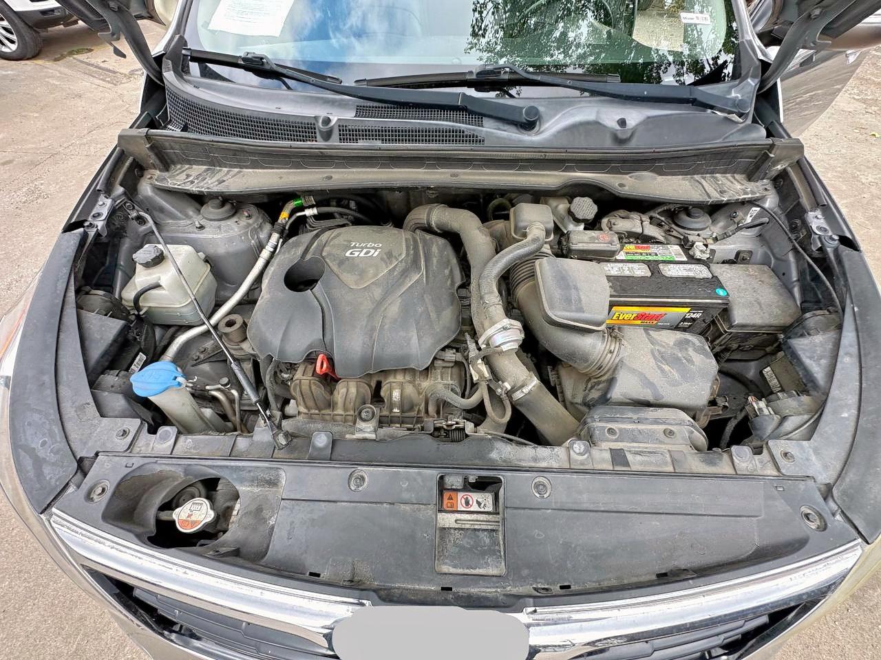 KIA SPORTAGE 2014 VIN KNDPCCA60E7656918 фото 7