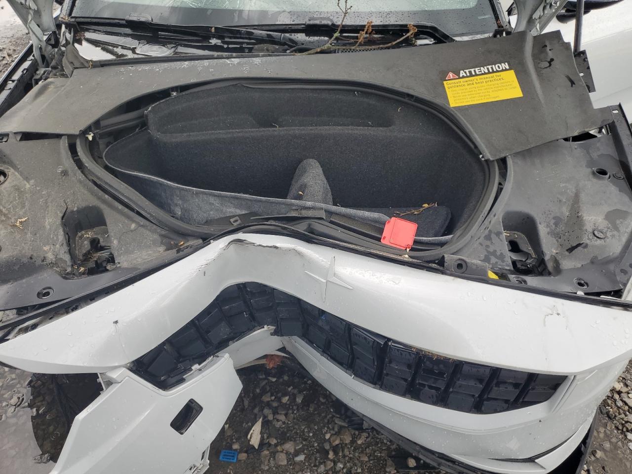 2021 Polestar 2 VIN: LPSED3KA7ML011706 Lot: 62310635