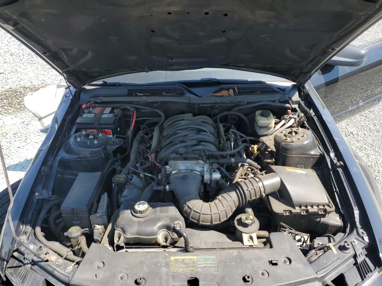 2006 Ford Mustang Gt VIN: 1ZVFT82H365234113 Lot: 61879315