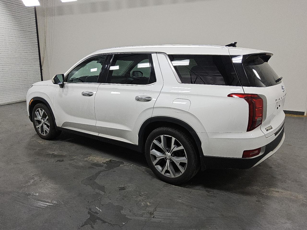 2020 Hyundai Palisade Sel VIN: KM8R4DHEXLU116351 Lot: 59057895