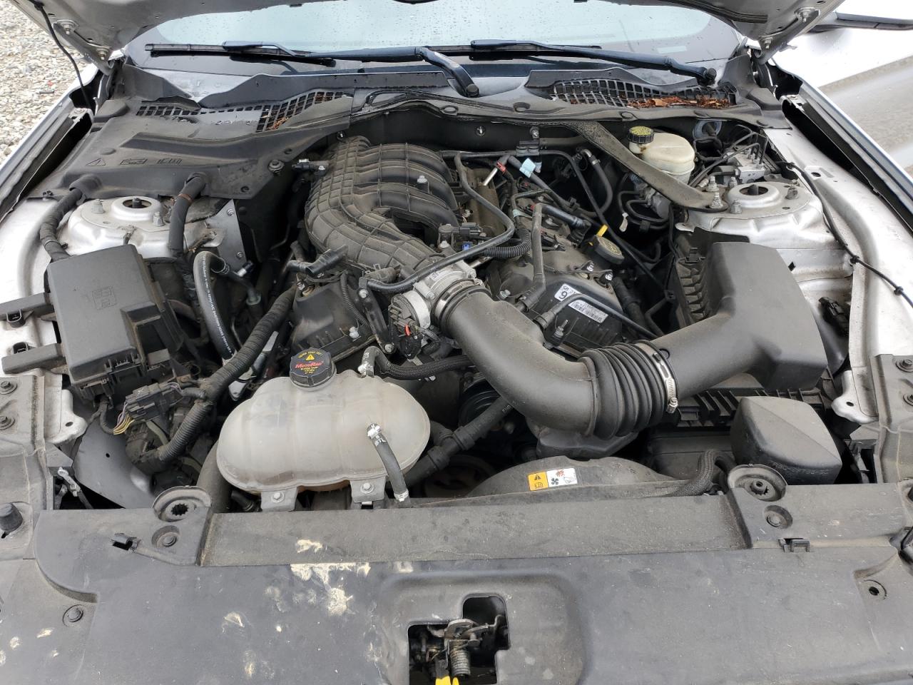 2016 Ford Mustang VIN: 1FATP8EMXG5304216 Lot: 59697085