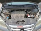 Franklin, WI에서 판매 중인 2007 Honda Odyssey Exl - Hail