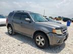 2010 Ford Escape Xlt for Sale in Taylor, TX - Front End