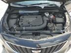2023 Cadillac Xt4 Luxury for Sale in Prairie Grove, AR - Hail