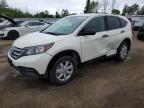 2013 HONDA CR-V LX   for sale at Copart ON - TORONTO