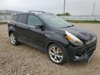 2013 Ford Escape Titanium for Sale in Bismarck, ND - Front End