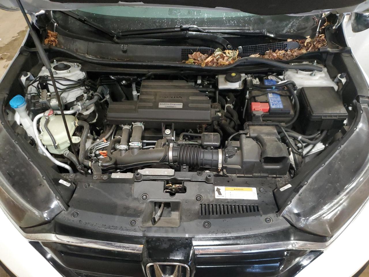 2021 Honda Cr-V Lx VIN: 5J6RW2H24MA007146 Lot: 62645315