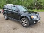 2010 FORD ESCAPE LIMITED   à vendre chez Copart ON - COOKSTOWN