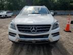 2014 Mercedes-Benz Ml 350 4Matic na sprzedaż w Knightdale, NC - Minor Dent/Scratches