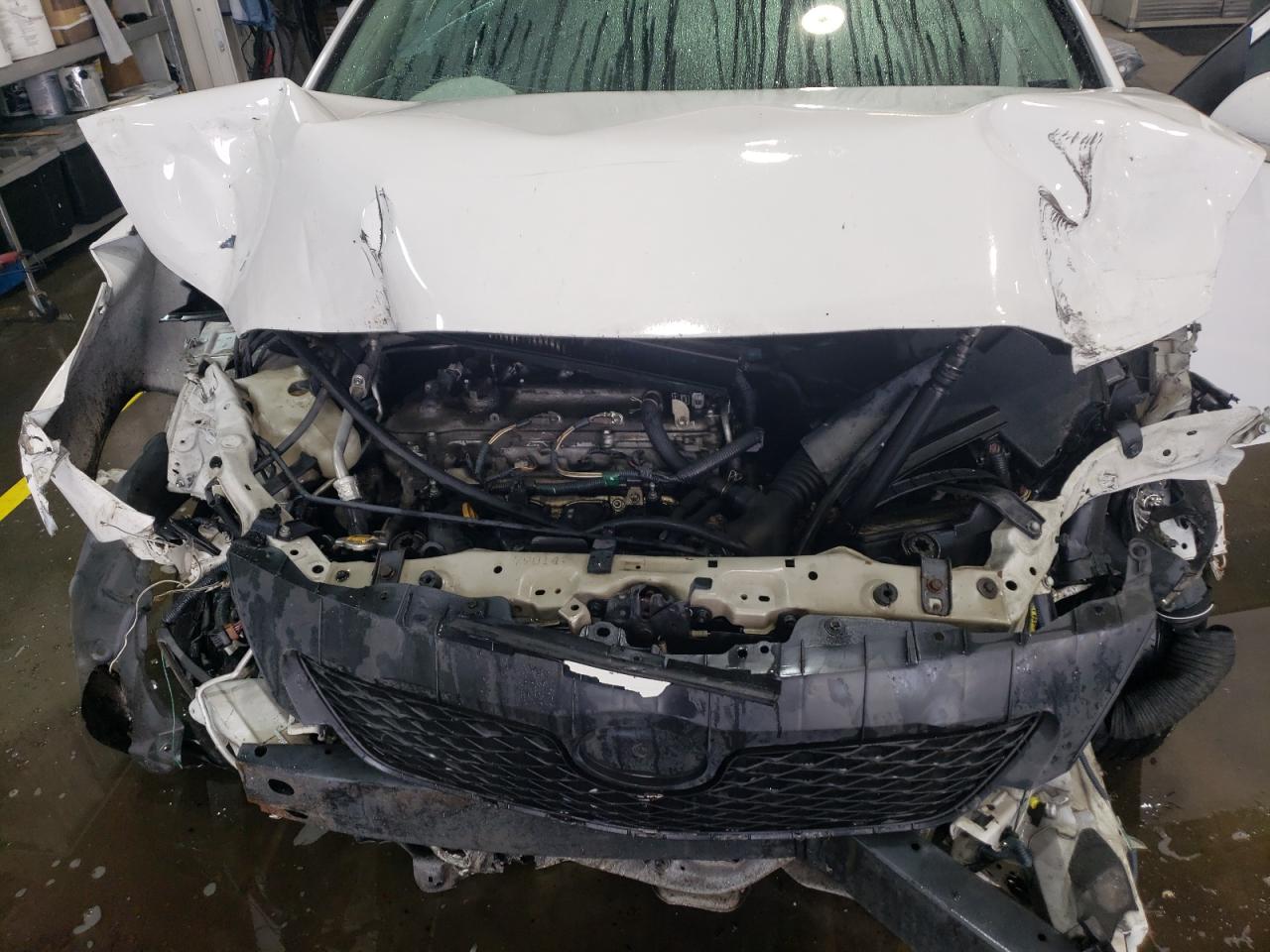 2009 Toyota Corolla Base VIN: 2T1BU40E19C186201 Lot: 59901595