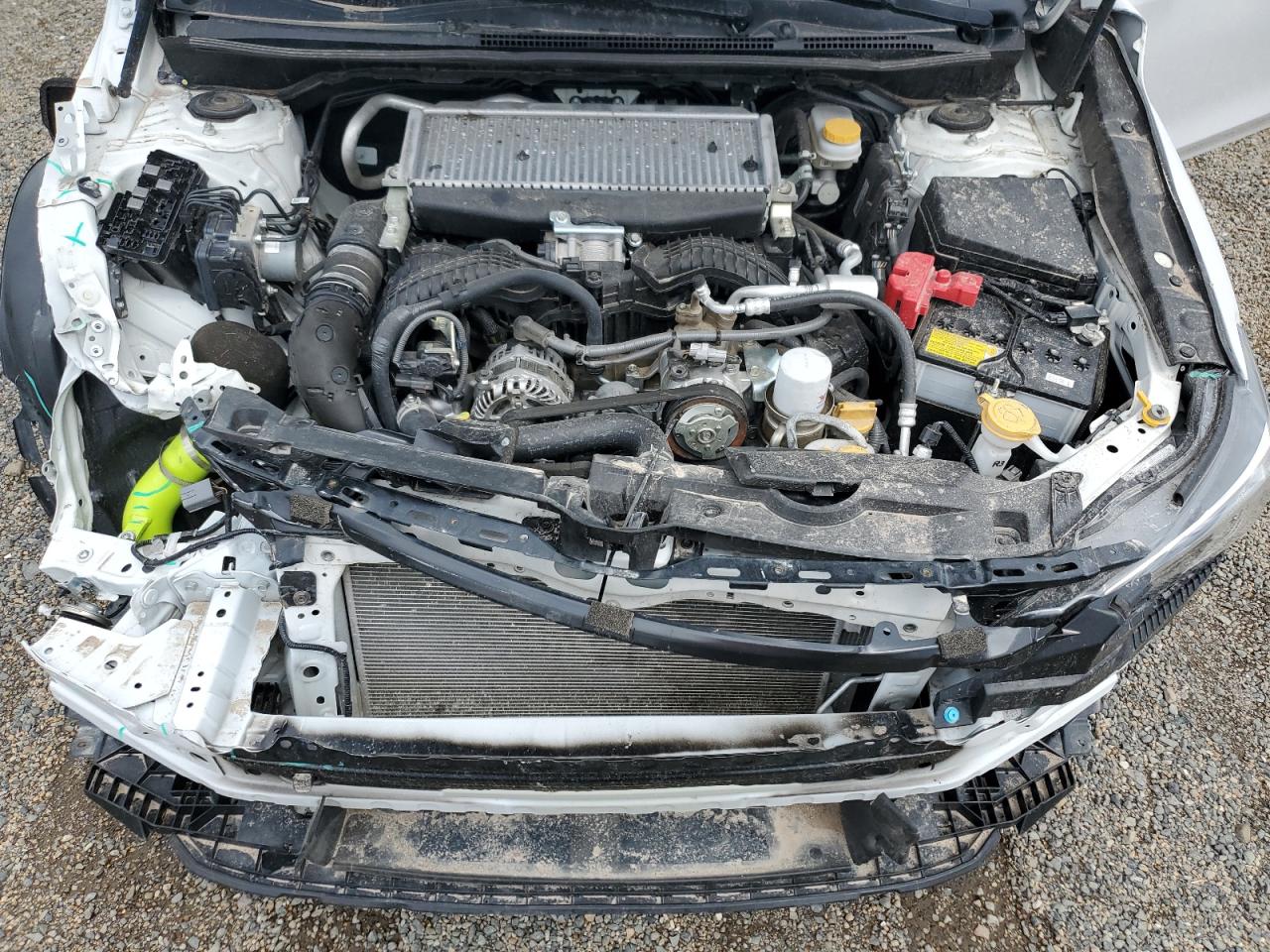 2023 Subaru Wrx Premium VIN: JF1VBAF6XP9815058 Lot: 61639645