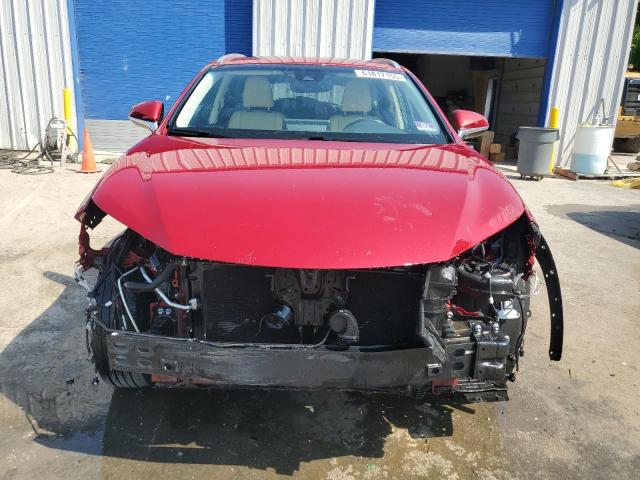  LEXUS NX 2019 Red