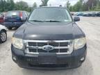 2010 Ford Escape Xlt   de vânzare în Leroy, NY - Normal Wear
