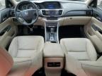 Ham Lake, MN에서 판매 중인 2013 Honda Accord Exl - Front End