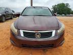 2008 Honda Accord Exl იყიდება China Grove-ში, NC - Front End