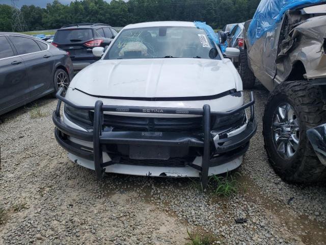  DODGE CHARGER 2019 Два тона