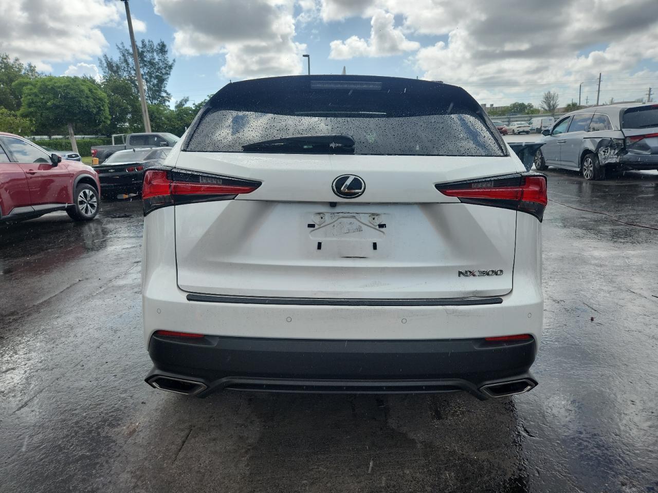 2020 Lexus Nx 300 VIN: JTJDARBZ5L5000367 Lot: 61573165