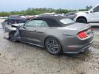 2018 Ford Mustang  for Sale in Savannah, GA - Front End