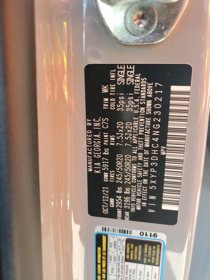 2022 Kia Telluride Ex VIN: 5XYP3DHC4NG230217 Lot: 61572995