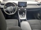2020 TOYOTA RAV4 LE   for sale at Copart NS - HALIFAX