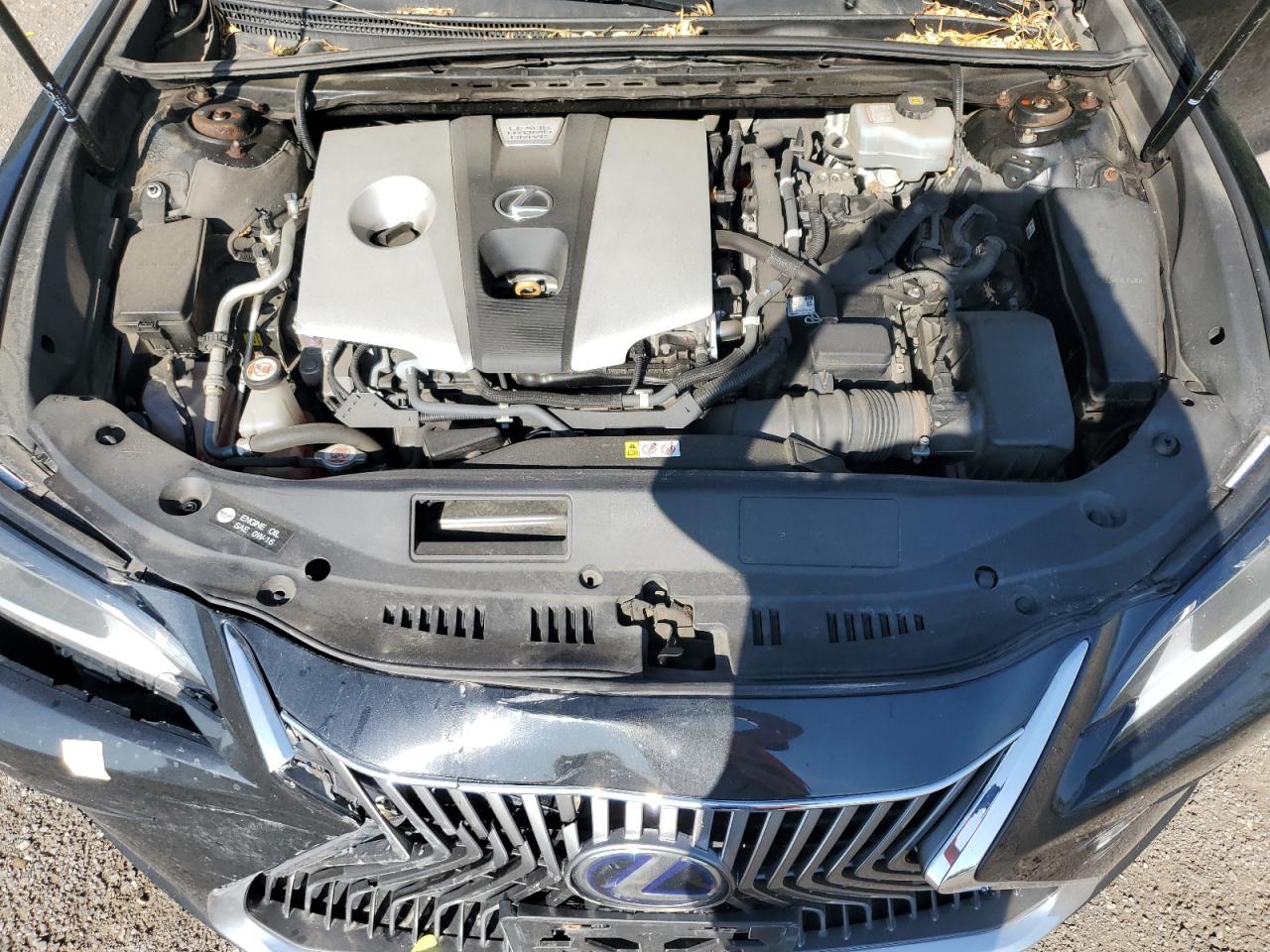 2020 Lexus Es 300H VIN: 58AB21B18LU007293 Lot: 59730555