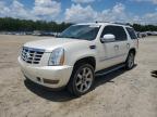 2009 CADILLAC ESCALADE LUXURY   à vendre chez Copart AR - LITTLE ROCK