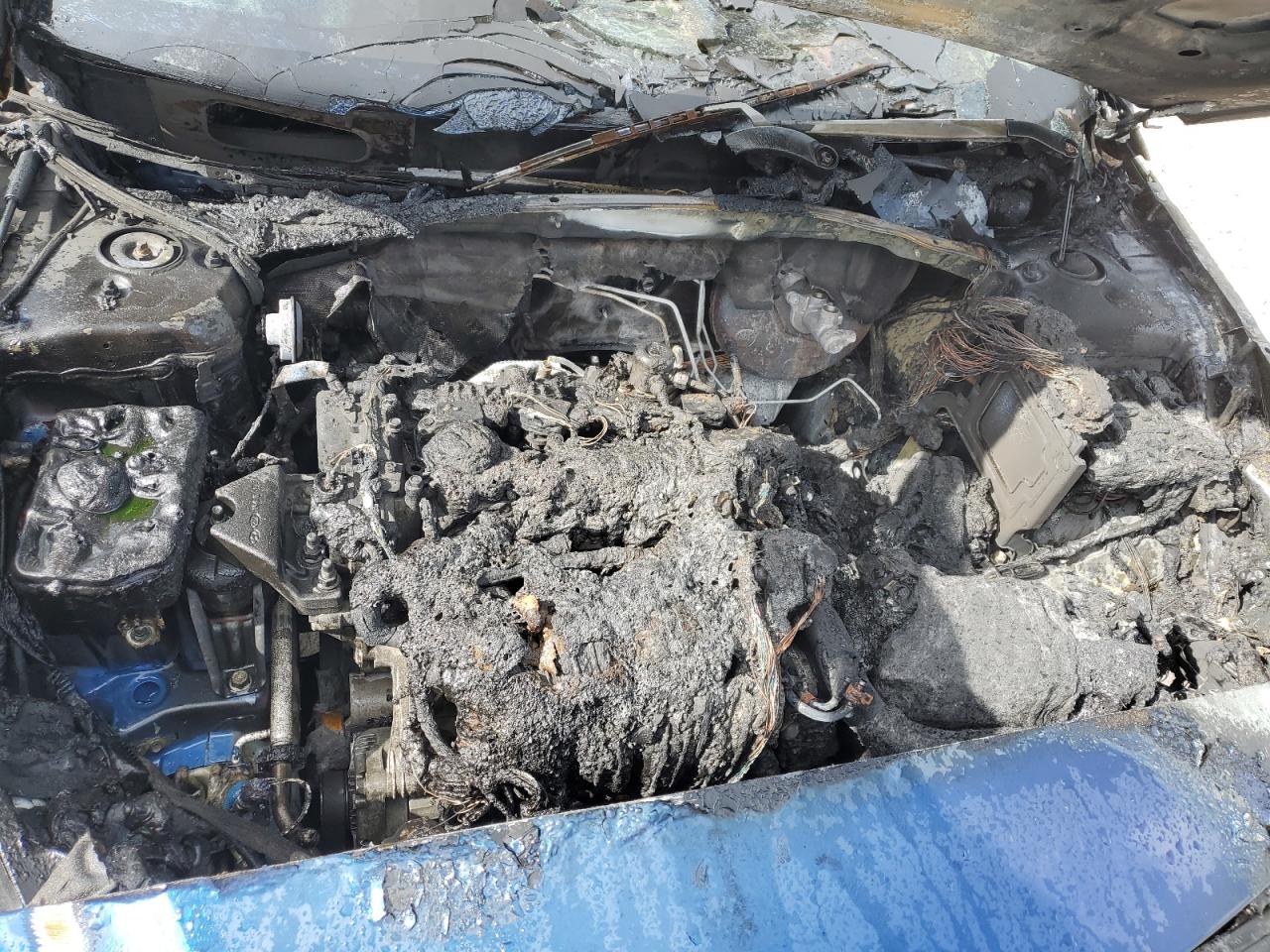 2015 Hyundai Sonata Se VIN: 5NPE24AF7FH246498 Lot: 62082695