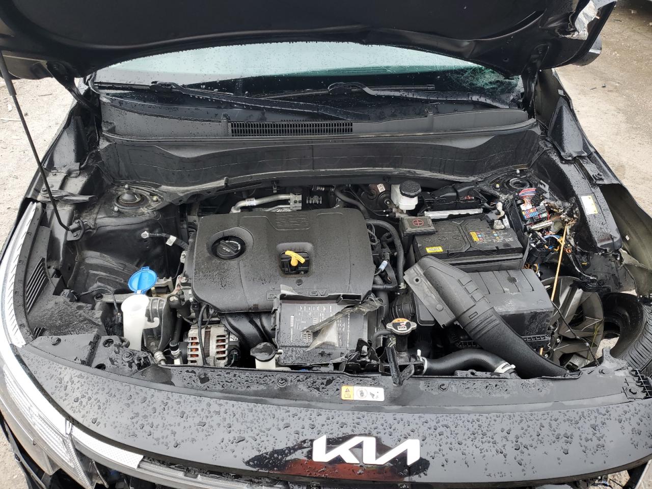 2023 Kia Seltos S VIN: KNDEU2AA6P7420831 Lot: 59562095