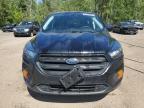 2019 FORD ESCAPE S   à vendre chez Copart ON - COOKSTOWN
