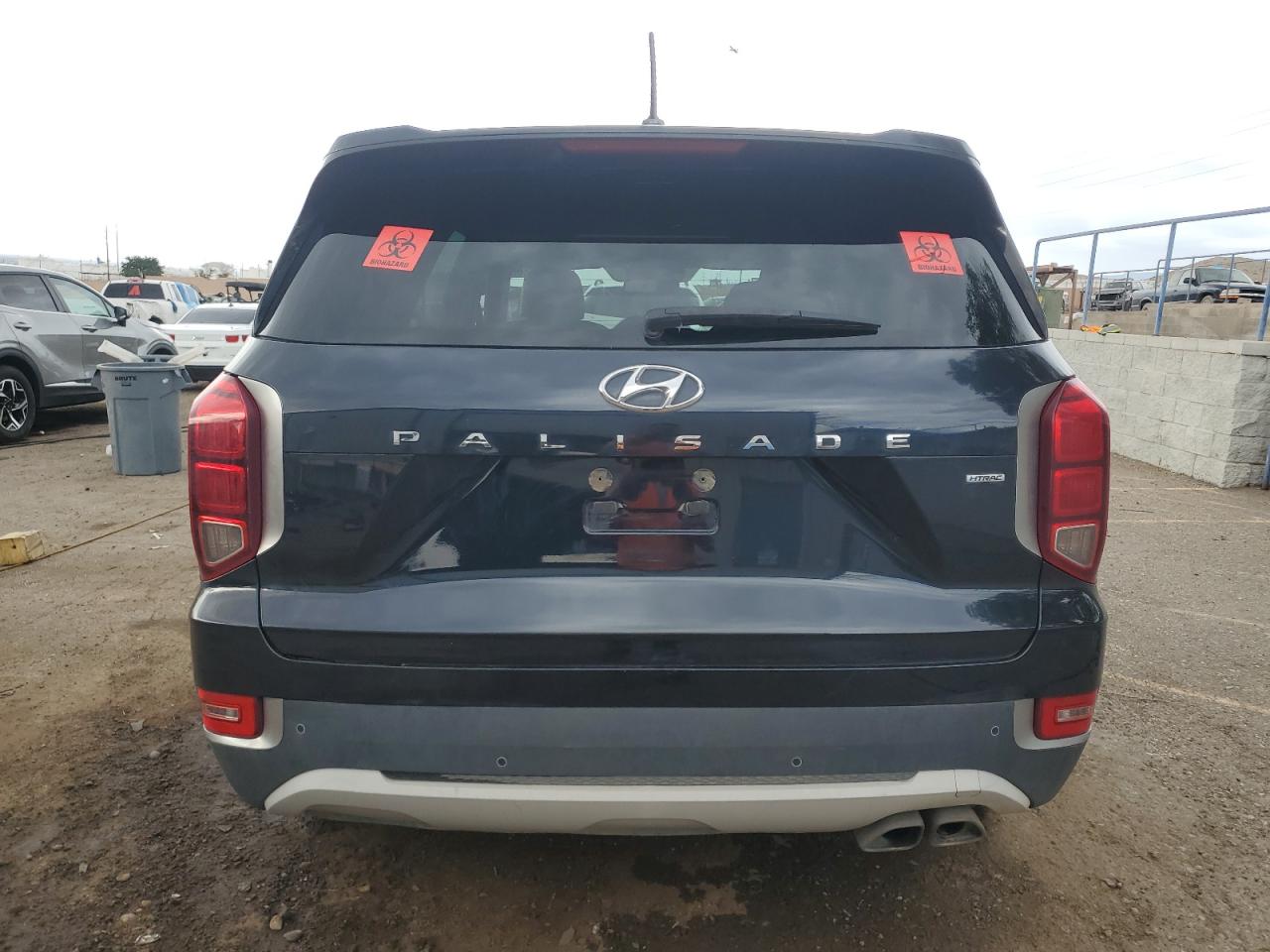 2020 Hyundai Palisade Sel VIN: KM8R2DHEXLU115609 Lot: 61945265
