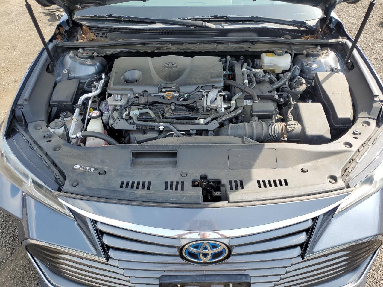 2019 Toyota Avalon Xle VIN: 4T1B21FB5KU004540 Lot: 62929665