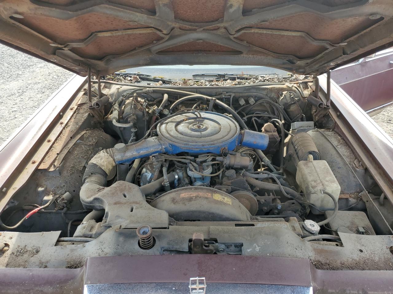 1978 Lincoln Continenta VIN: 8Y82A832856 Lot: 59430475