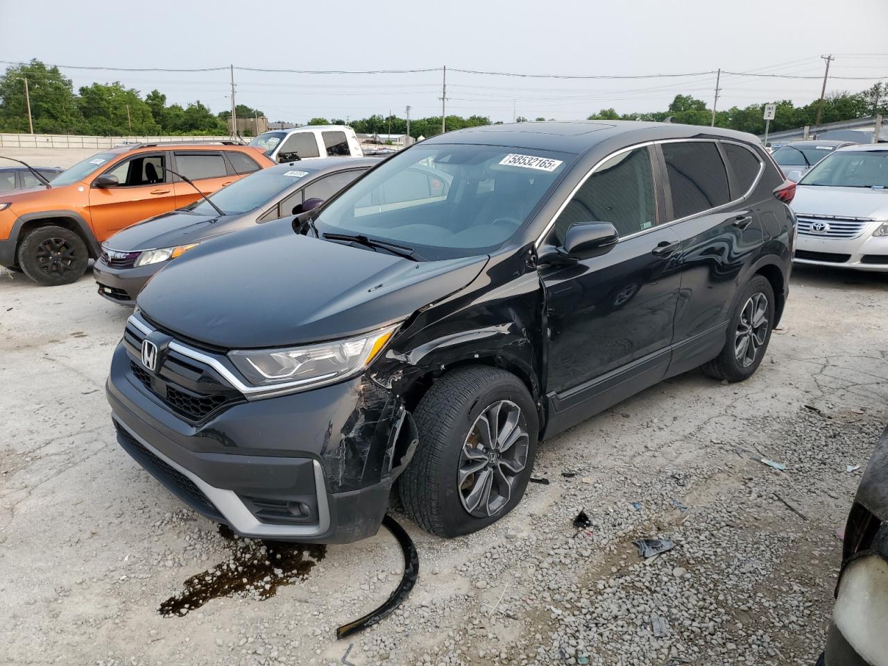 2020 Honda Cr-V Exl للبيع في Lawrenceburg، KY - Front End