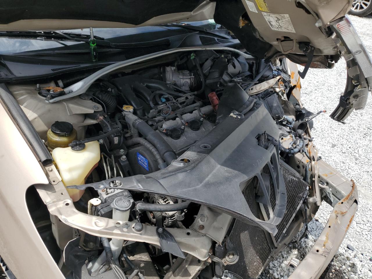 2005 Lexus Es 330 VIN: JTHBA30G255132710 Lot: 59481935