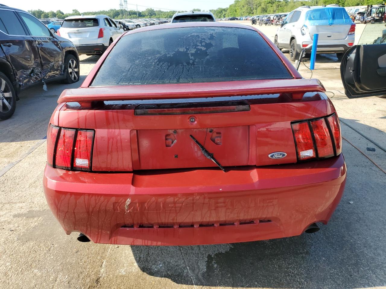 2003 Ford Mustang Gt VIN: 1FAFP42X43F381219 Lot: 62371735