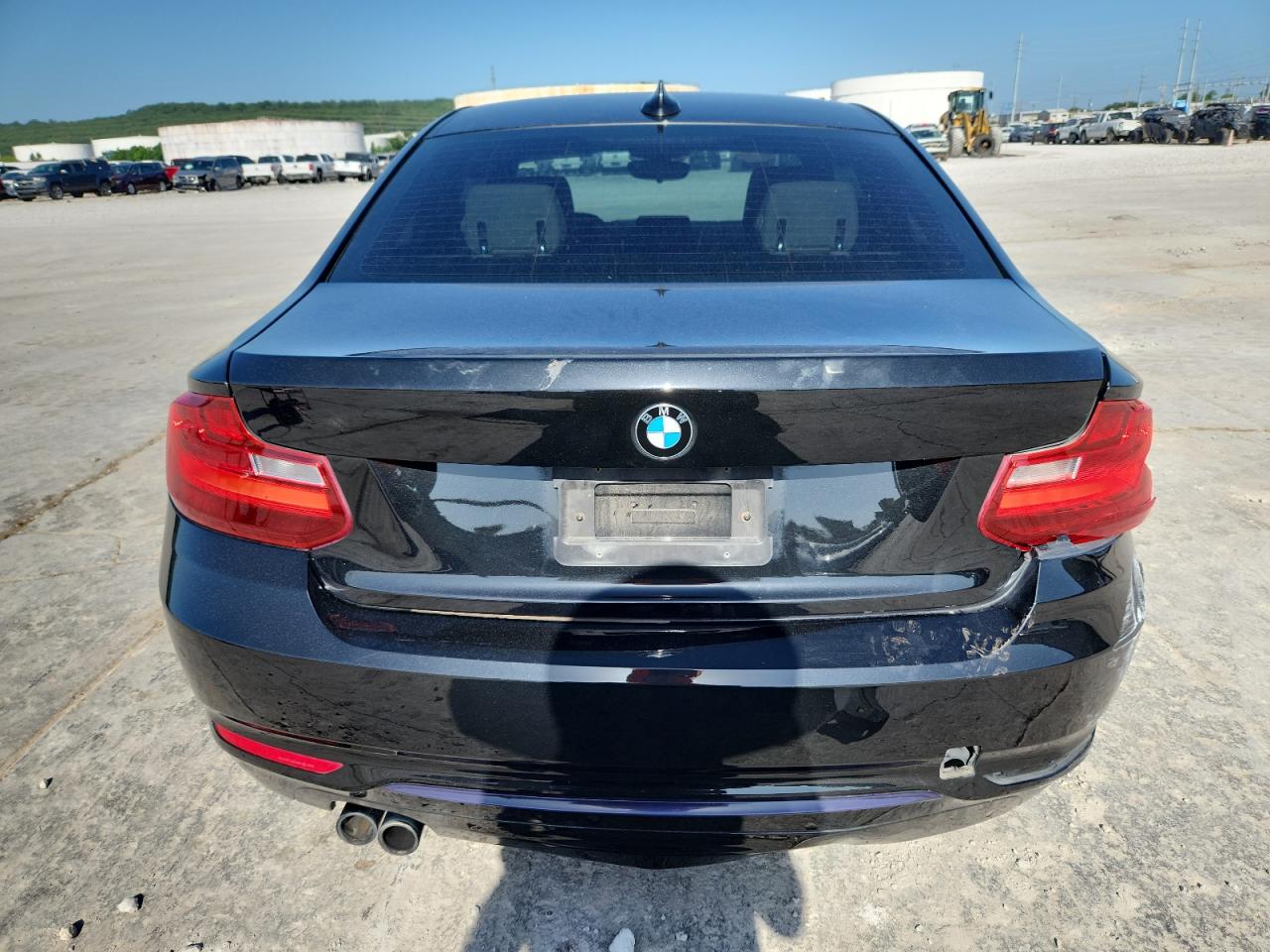 2016 BMW 228 I Sulev VIN: WBA1F9C55GV545068 Lot: 61813375