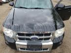 2010 FORD ESCAPE LIMITED   à vendre chez Copart ON - COOKSTOWN