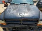 2003 Dodge Dakota Quad Sport for Sale in Windsor, NJ - Front End