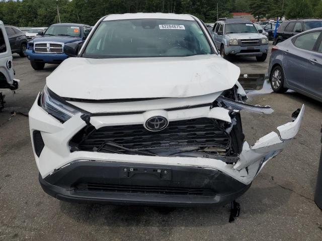  TOYOTA RAV4 2023 Белы