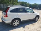 2009 Honda Cr-V Exl for Sale in Knightdale, NC - Minor Dent/Scratches