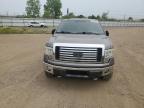 2010 Ford F150 Supercrew for Sale in Columbia Station, OH - Side